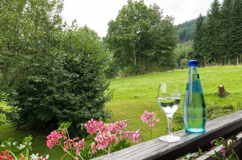 Gasthof & Landhotel Ohrnbachtal Weilbach المظهر الخارجي الصورة
