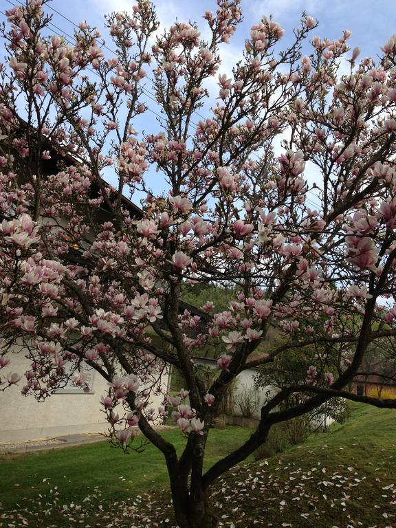 Gasthof & Landhotel Ohrnbachtal Weilbach المظهر الخارجي الصورة