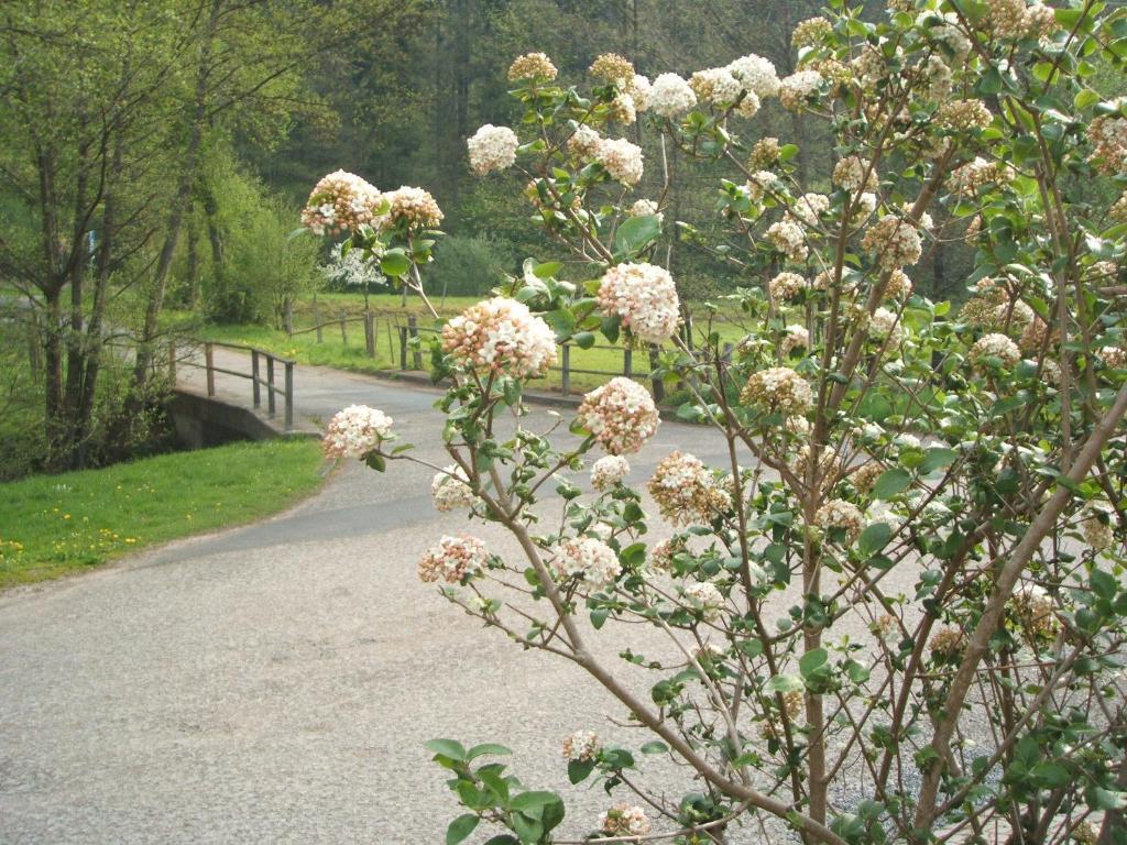 Gasthof & Landhotel Ohrnbachtal Weilbach المظهر الخارجي الصورة